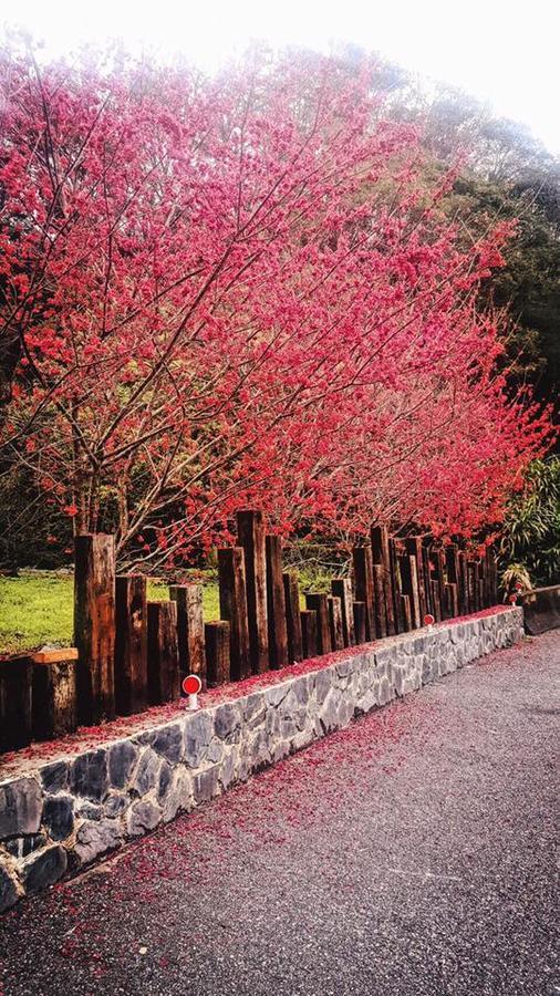 Taroko Formosa Homestay Xiulin Dış mekan fotoğraf