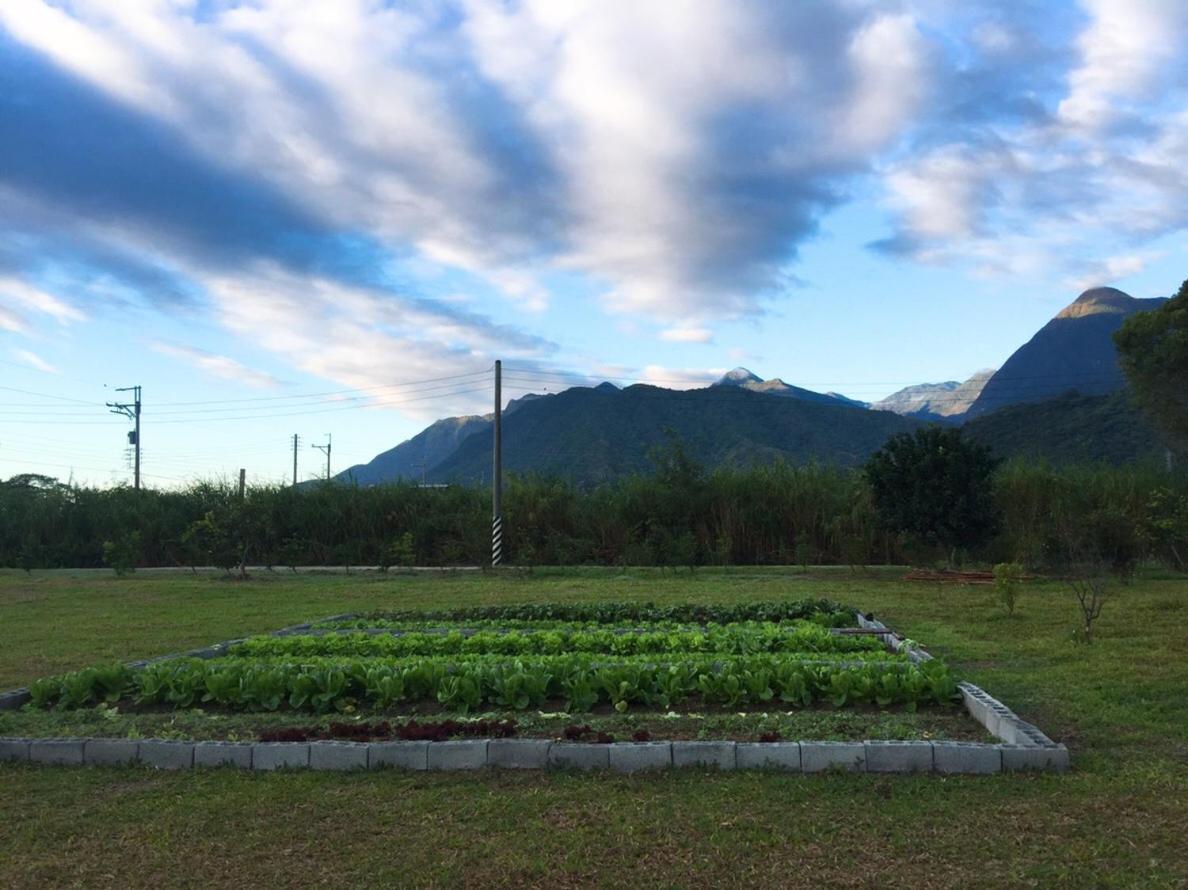 Taroko Formosa Homestay Xiulin Dış mekan fotoğraf