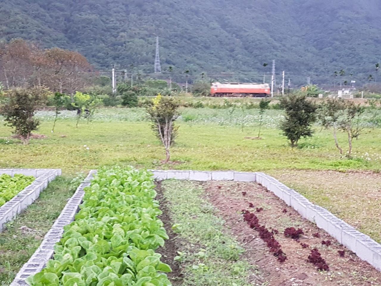 Taroko Formosa Homestay Xiulin Dış mekan fotoğraf